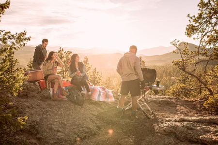 Гриль газовый Weber Traveler Stealth Edition 9013075, черный, портативный