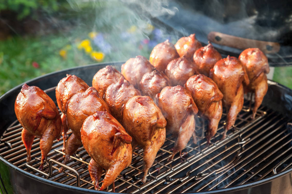 Ростер для 17 перепёлок