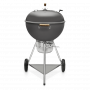Гриль угольный Weber 70th Anniversary Edition Kettle 19521004, серый