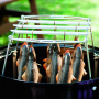 Коптильня Weber Smokey Mountain Cooker 47 см, 721004, черный